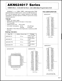 Click here to download AKN624017FB Datasheet