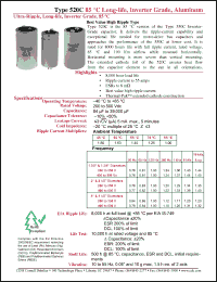 Click here to download 520C113T250DP2B Datasheet