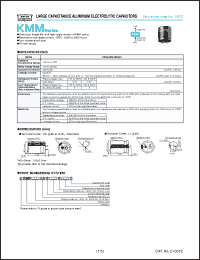 Click here to download EKMM251VSN391MR25S Datasheet