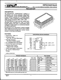 Click here to download DPZ256X16V3-20C Datasheet