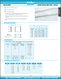 Click here to download DSE1206X101JN Datasheet