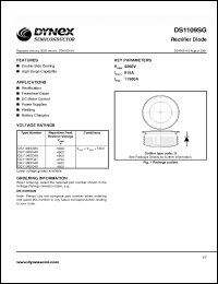 Click here to download DS1109SG47 Datasheet