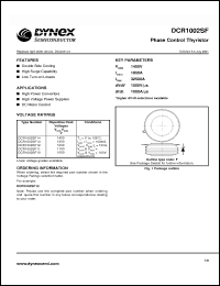 Click here to download DCR1002SF13 Datasheet