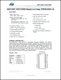 Click here to download EN27LV020120TI Datasheet