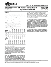 Click here to download GS881Z36BT-166 Datasheet