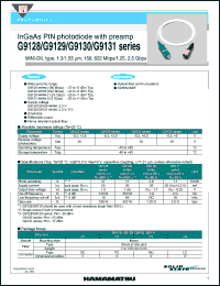 Click here to download G9131-22 Datasheet