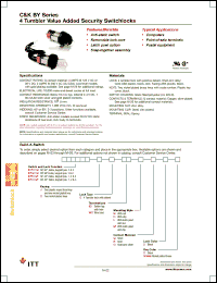 Click here to download BY011U2CWCMB22 Datasheet