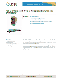 Click here to download WDM-1MDD25611 Datasheet