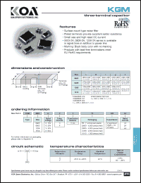 Click here to download KGM1206EFTTE2204A Datasheet