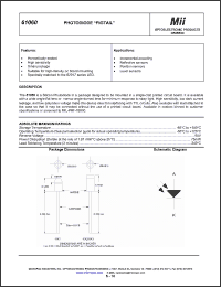 Click here to download 61060 Datasheet