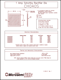 Click here to download CH040S0020 Datasheet