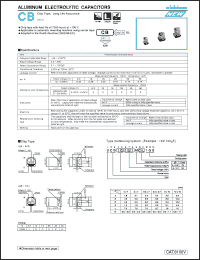 Click here to download UCB1V100MCL Datasheet