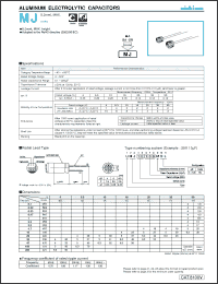 Click here to download UMJ0G100MDL Datasheet