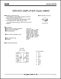 Click here to download NJG1307R-C10 Datasheet