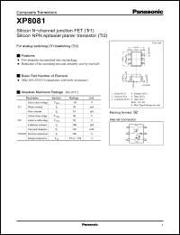 Click here to download XP8081 Datasheet