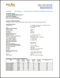 Click here to download P8TG-1205E21 Datasheet