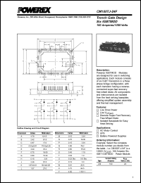 Click here to download CM100TJ-24F Datasheet