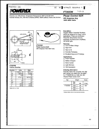 Click here to download FT300DM-32 Datasheet