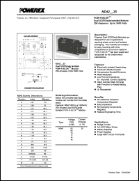 Click here to download ND421025 Datasheet