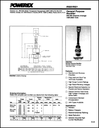 Click here to download R5010825 Datasheet