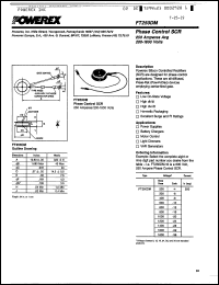 Click here to download FT250DM10 Datasheet