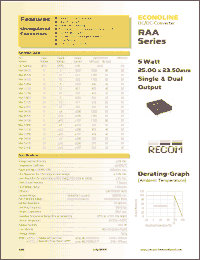 Click here to download RAA-0505S_06 Datasheet