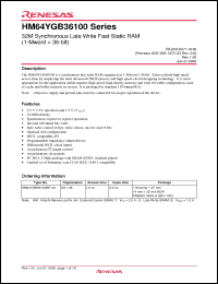 Click here to download HM64YGB36100 Datasheet