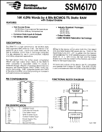 Click here to download SSM6170-25EC Datasheet