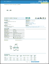 Click here to download 0034.3102 Datasheet