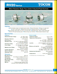 Click here to download RV20YN10FB101K Datasheet