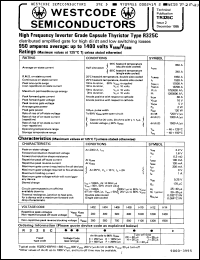 Click here to download R325CH10FK0 Datasheet